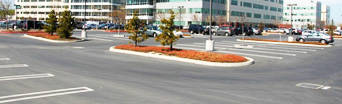 Parking Consultation